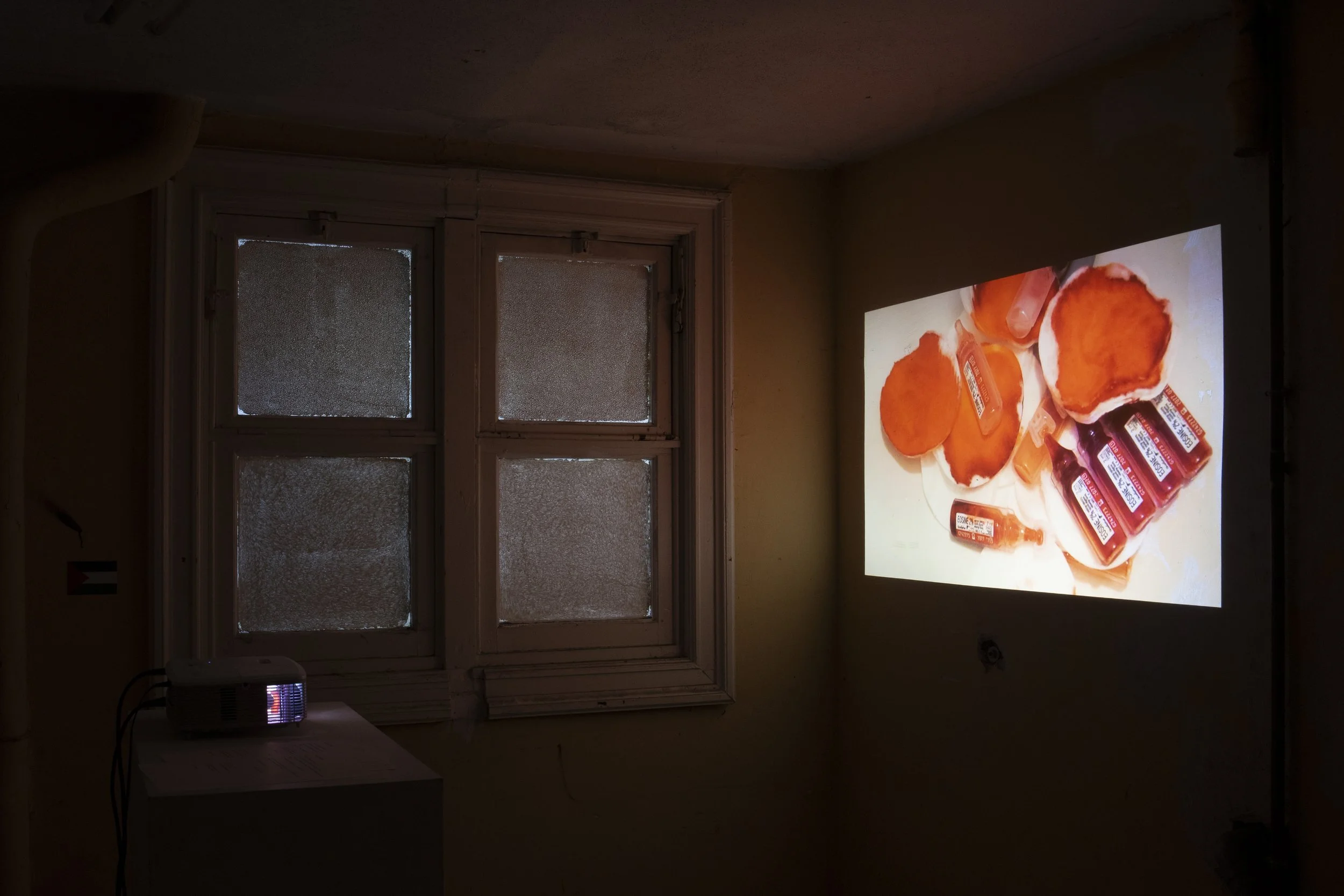 Installation view from the film's screening at the " A House Is Not A Home " exhibition, 2025, Antwerp