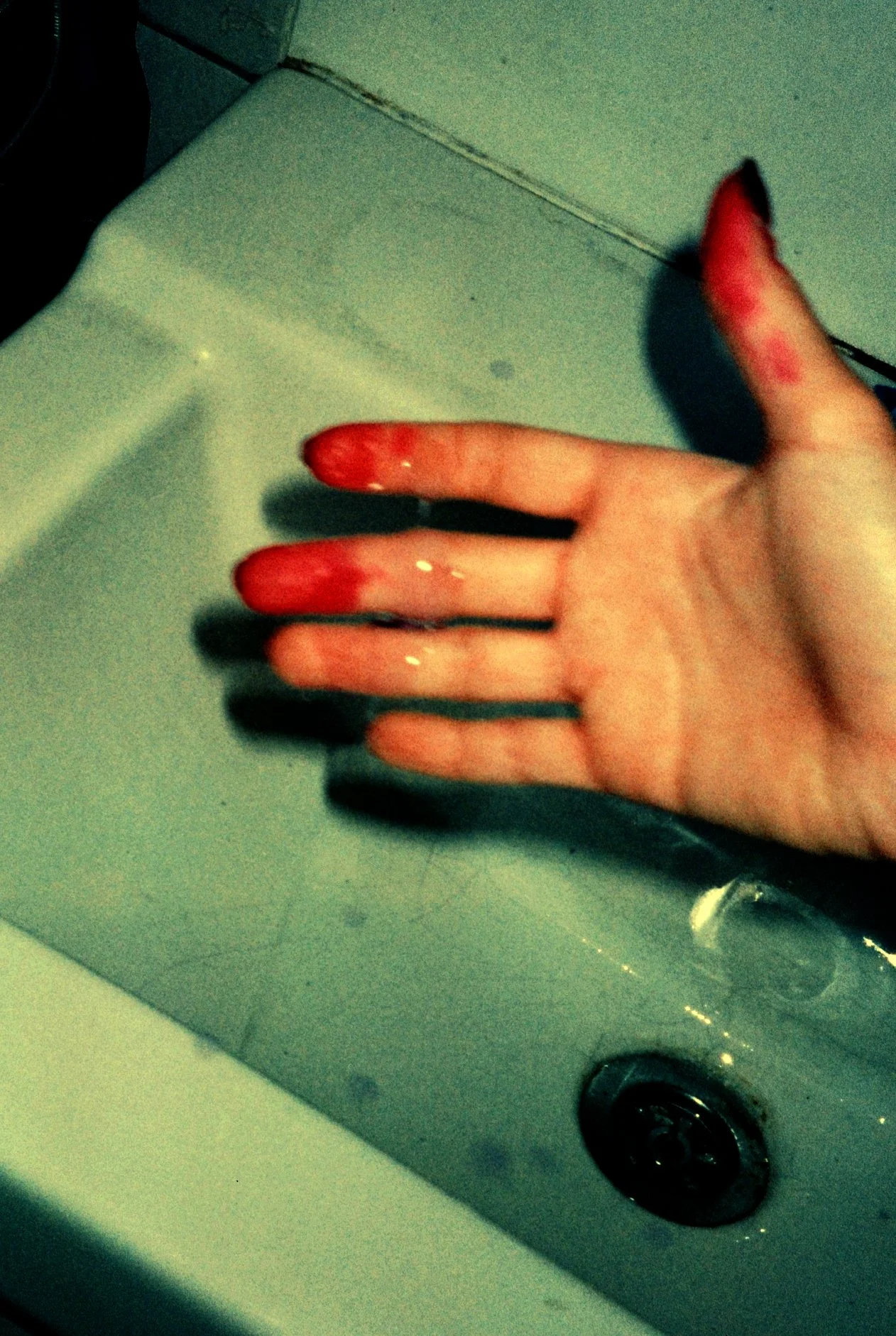 The Hedgehog's Paradox