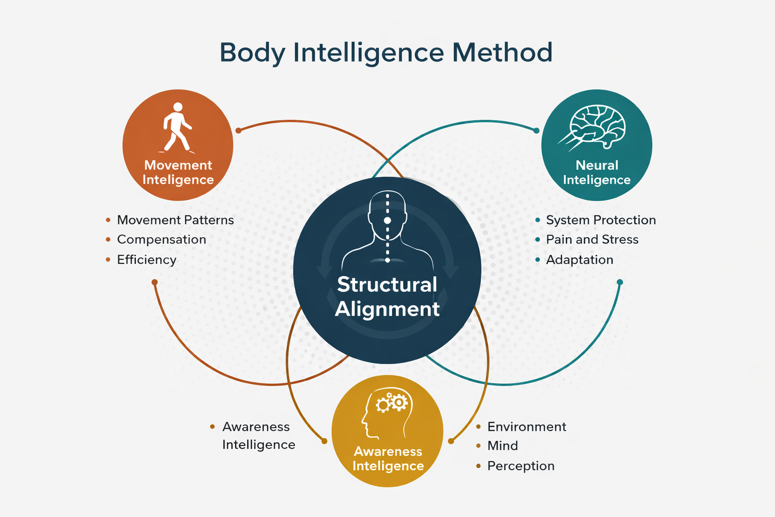 Diagram explaining the Body Intelligence Method framework showing structural alignment, movement intelligence, neural intelligence and awareness intelligence.