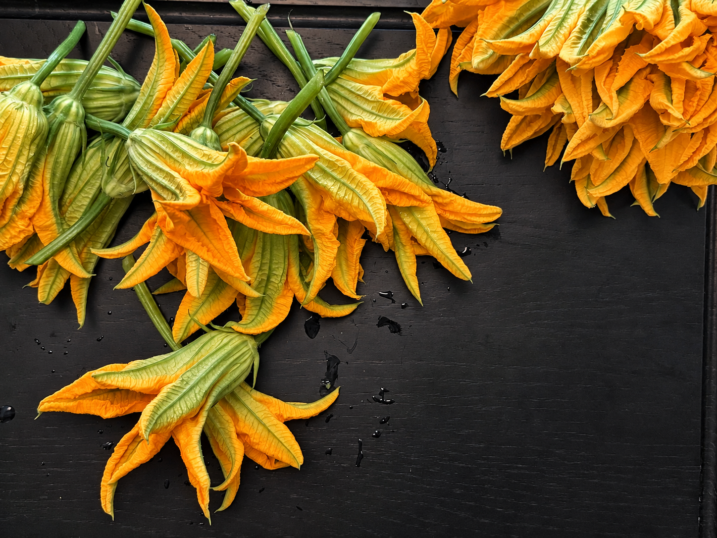 SEASONAL SPOTLIGHT | ZUCCHINI BLOSSOMS