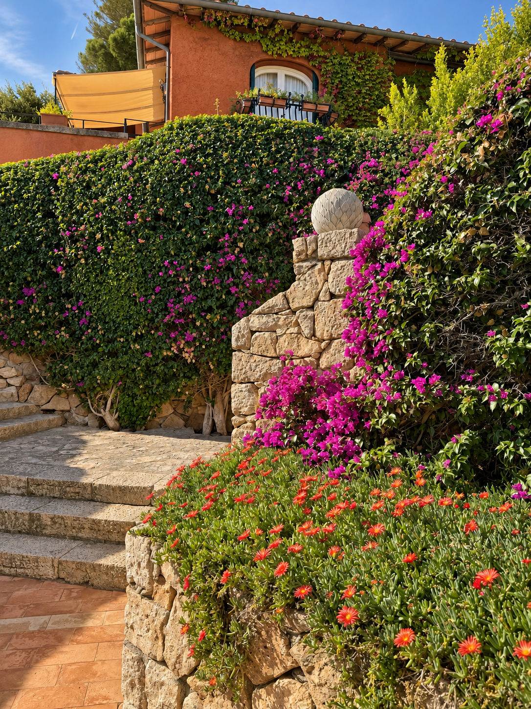 il-pellicano-garden-steps-bougainvillea-ice-plant.jpg.PNG