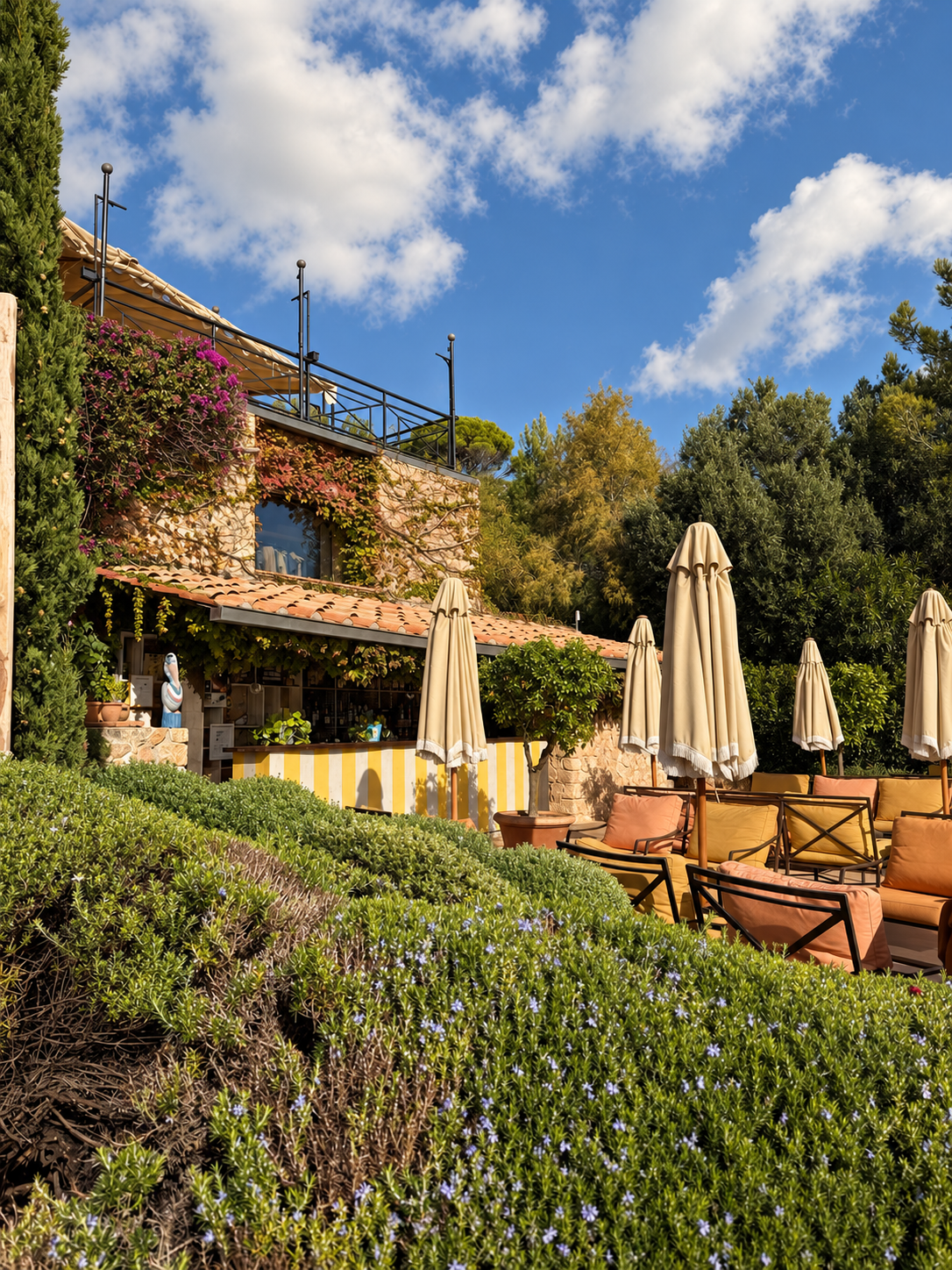 il-pellicano-pool-bar-yellow-stripes-from-gardens.jpg.PNG