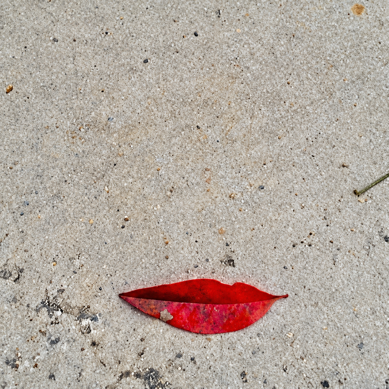RED LIPSTICK WEATHER