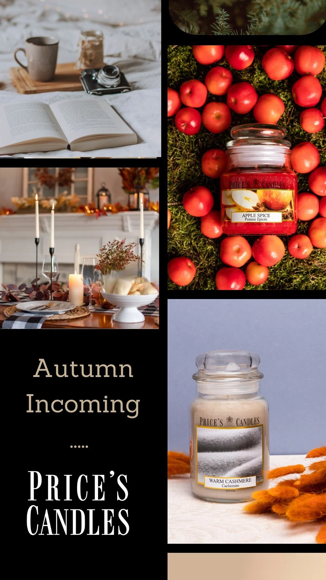 Autumn Vibes Ahead! 🍂

As the crisp British weather sets in and the nights grow longer, it's time to embrace the magic of Autumn. Picture yourself wrapped in a soft blanket, a good book in hand, and the soothing glow of your favourite candles fillin