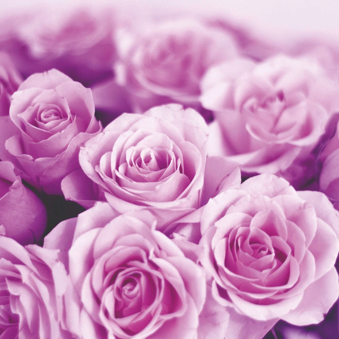 &hearts; Valentine's Day is Almost Here! &hearts; 

Looking for romantic inspiration to set the perfect mood?
 Head to our Valentine&rsquo;s blog for stunning ideas to create an unforgettable evening with our candle collections! 🕯️✨

Ready to make t