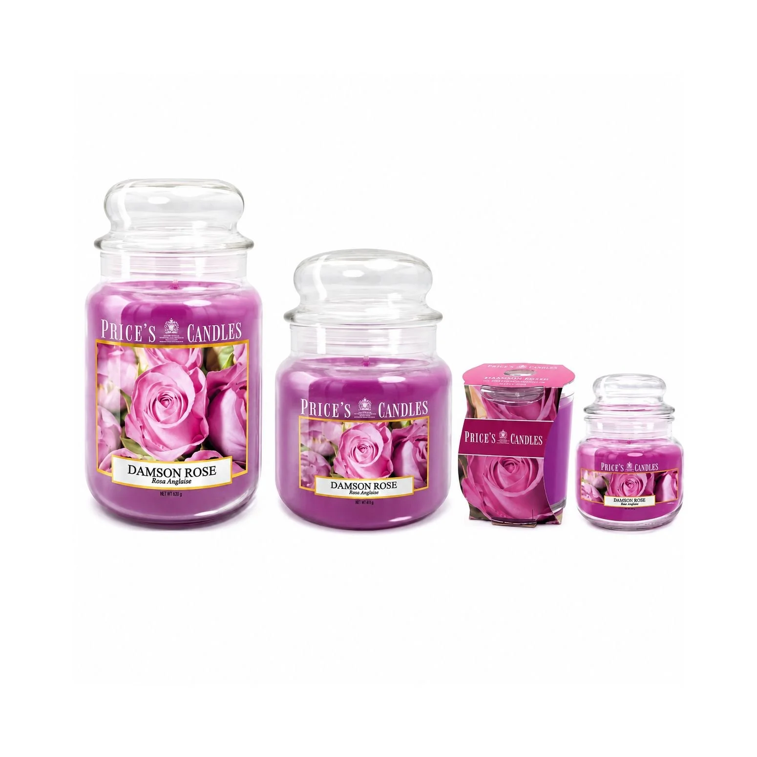 Damson Rose
