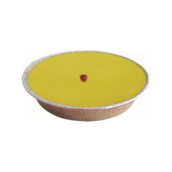 021754W Citronella 8 Hour Party Light_600.jpg