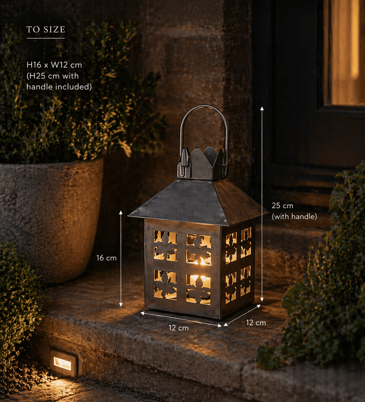 Butterfly lantern- outside- -C.png