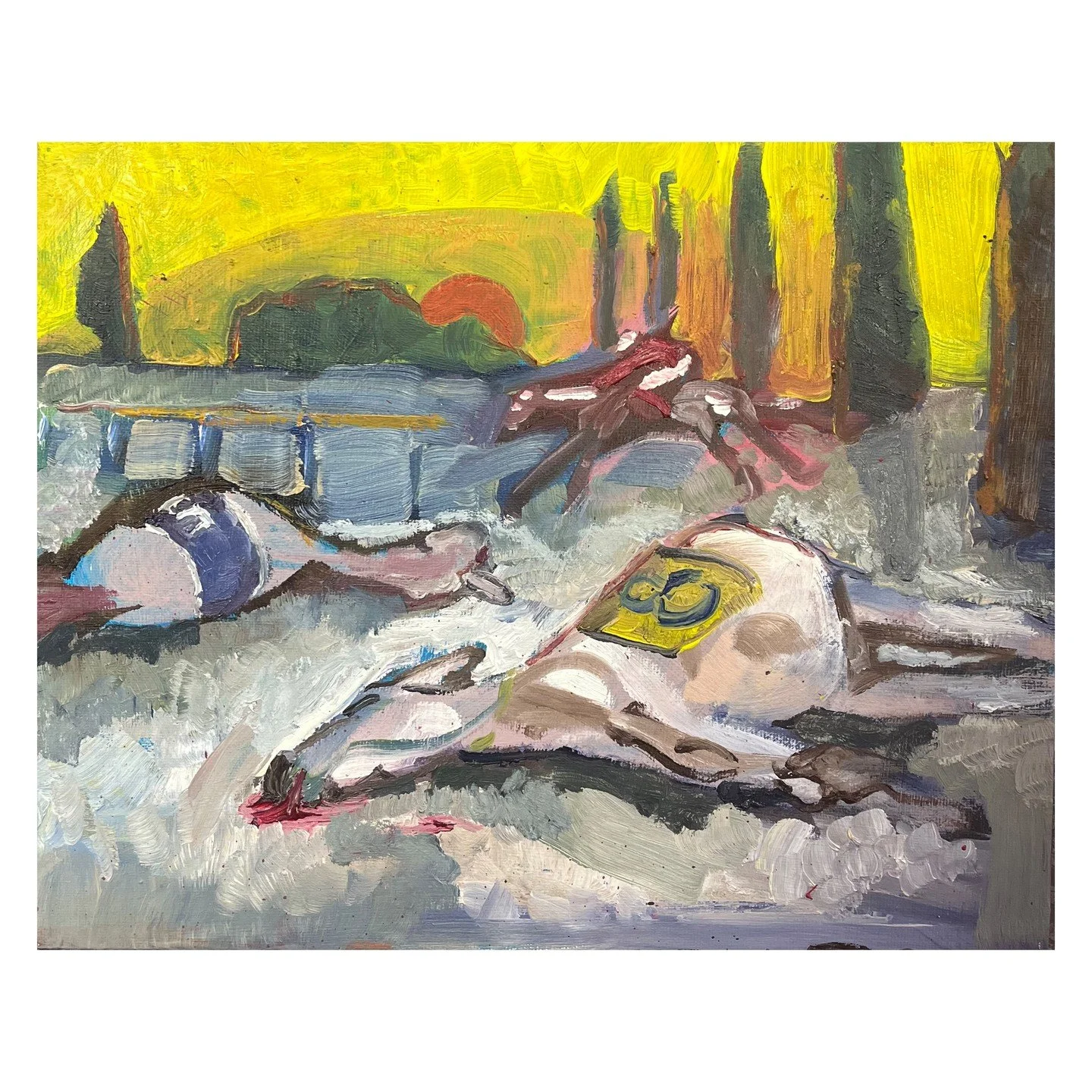 "Tijdens een paardenrace te Smederevo zijn twee paarden tegen elkaar gebotst en gedood. (...) Een der jockey's brak een been, de ander bleef ongedeerd.