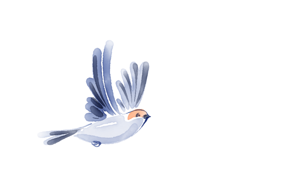 Illustration eines stilisierten Vogels mit leuchtend orangefarbenem Kopf und tiefblauem Körper, der mit weit ausgebreiteten Flügeln fliegt – Symbol für Loslassen, Abschied oder Übergang bei Veerman Bestattungen