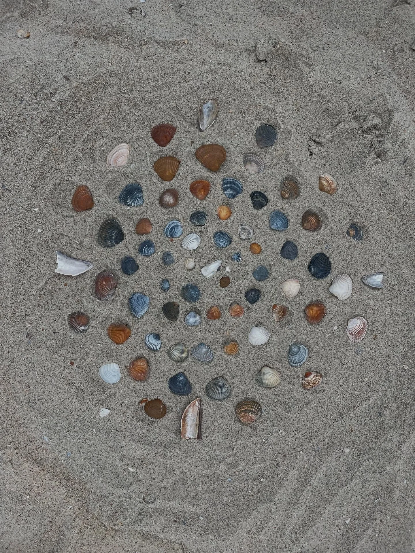 the beach is like a huge treasure hunt