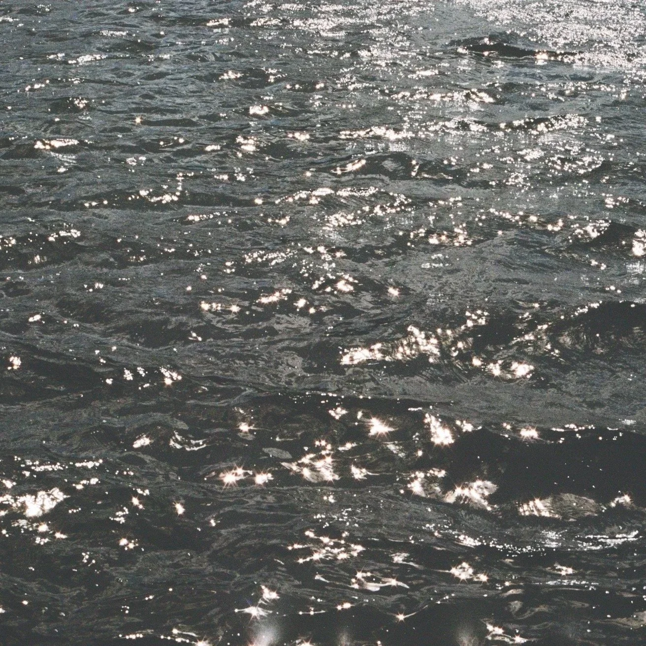 Shiny water surface with sunlight reflecting off ripples.