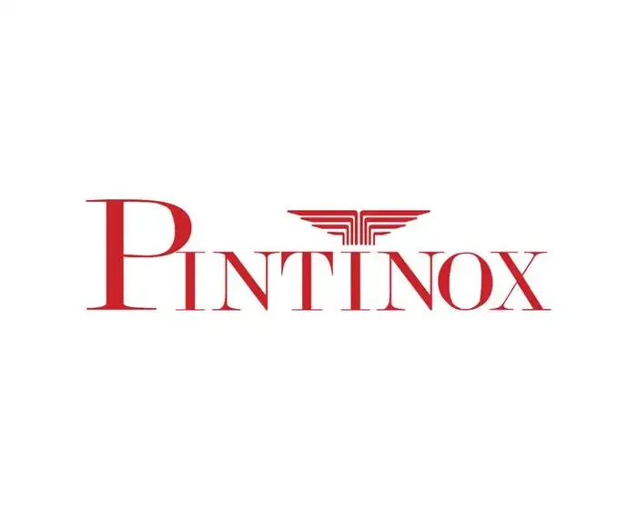pinti inox logo.webp