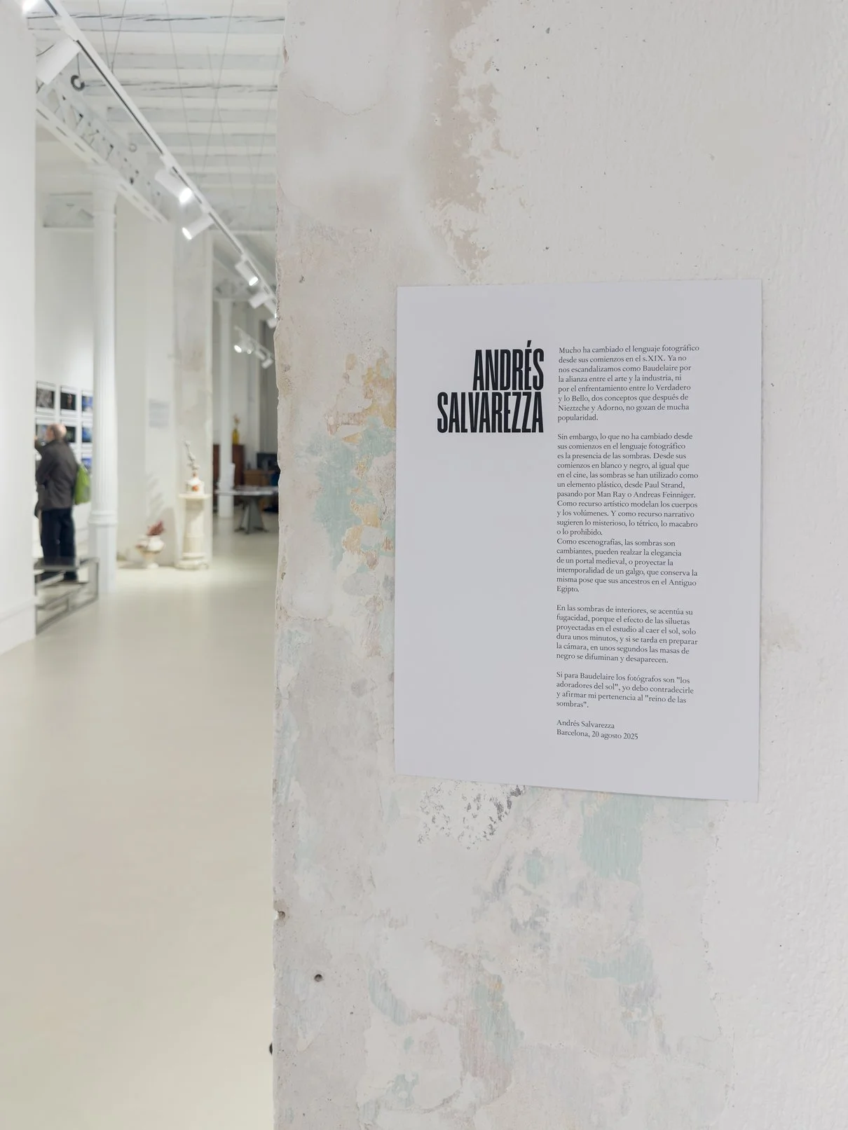 03_andres-salaverria-curatorial-text-matiz-gallery.jpg