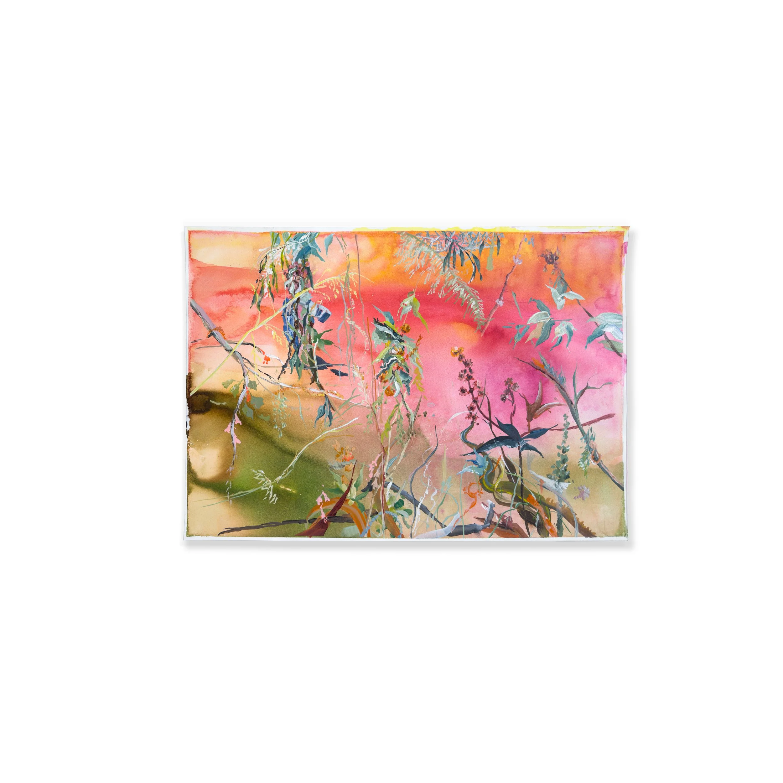 Full view of Lori Goldberg’s painting on paper, exhibited at Matiz Gallery in Barcelona. A gradient background from green to fiery yellow frames delicate botanical forms in a dreamlike composition.