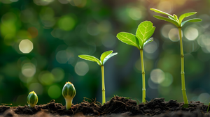 ISO/TC 207/SC 5 — ISO/TC 207 Environmental Management