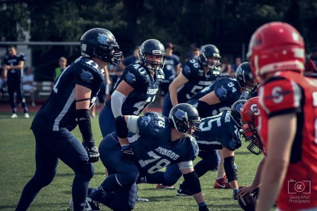 Bulldogs-1024x683.jpg