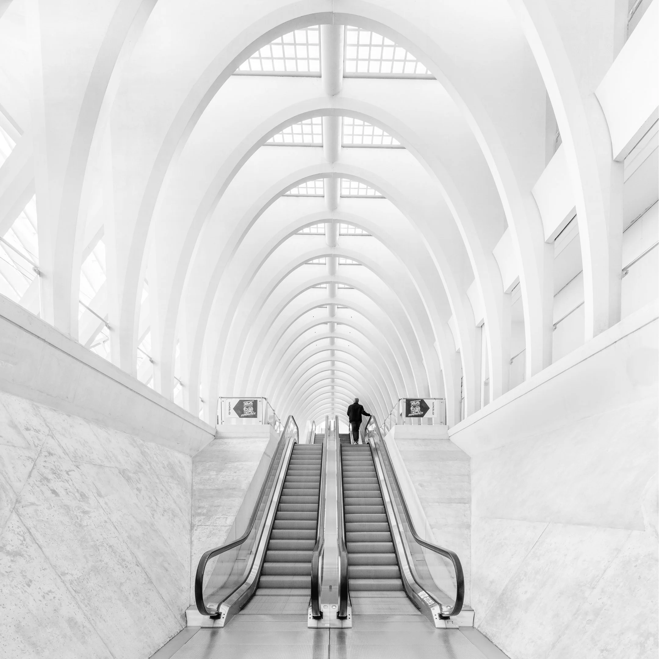 ESCALATOR, ARC AND HUMAN.jpg