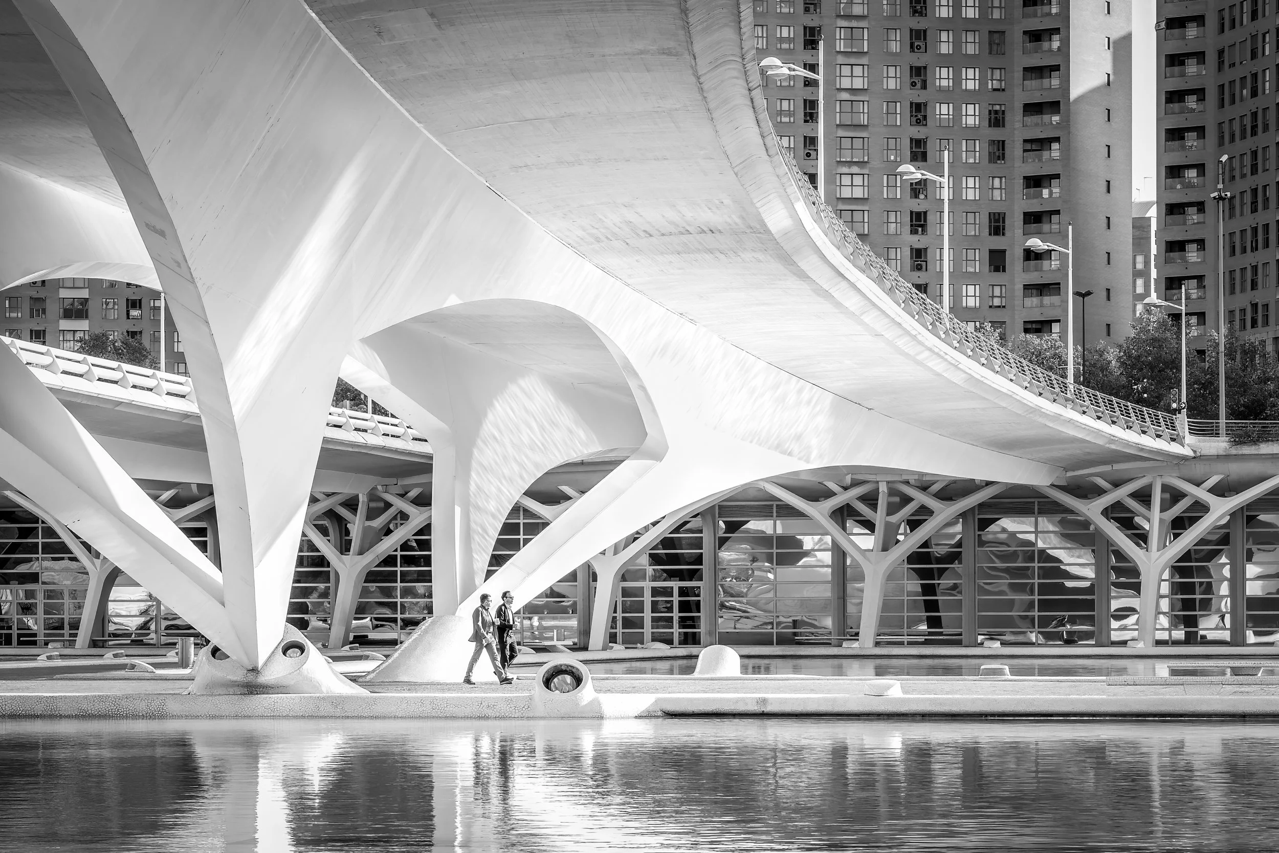 CASUAL WALK AND TALK.jpg