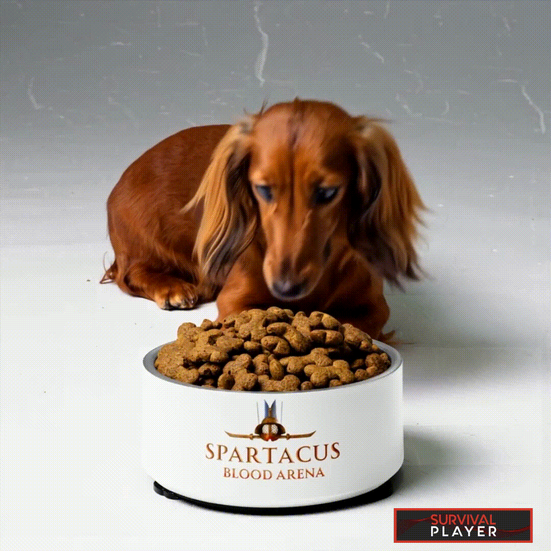 Spartacus Pet bowl