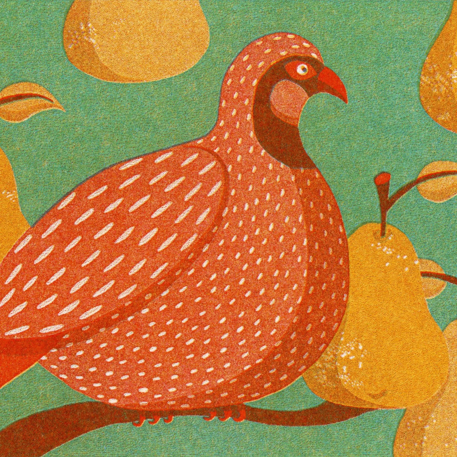 Partridge in a Pear Tree