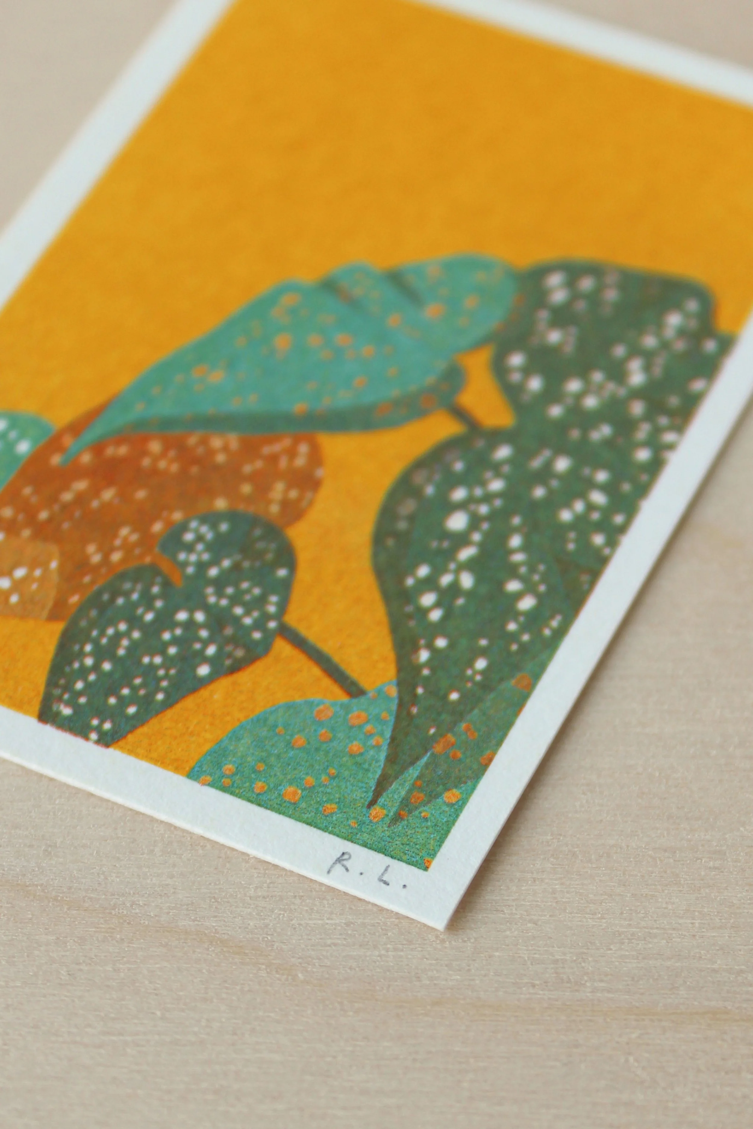 Plant 3 Background.jpg