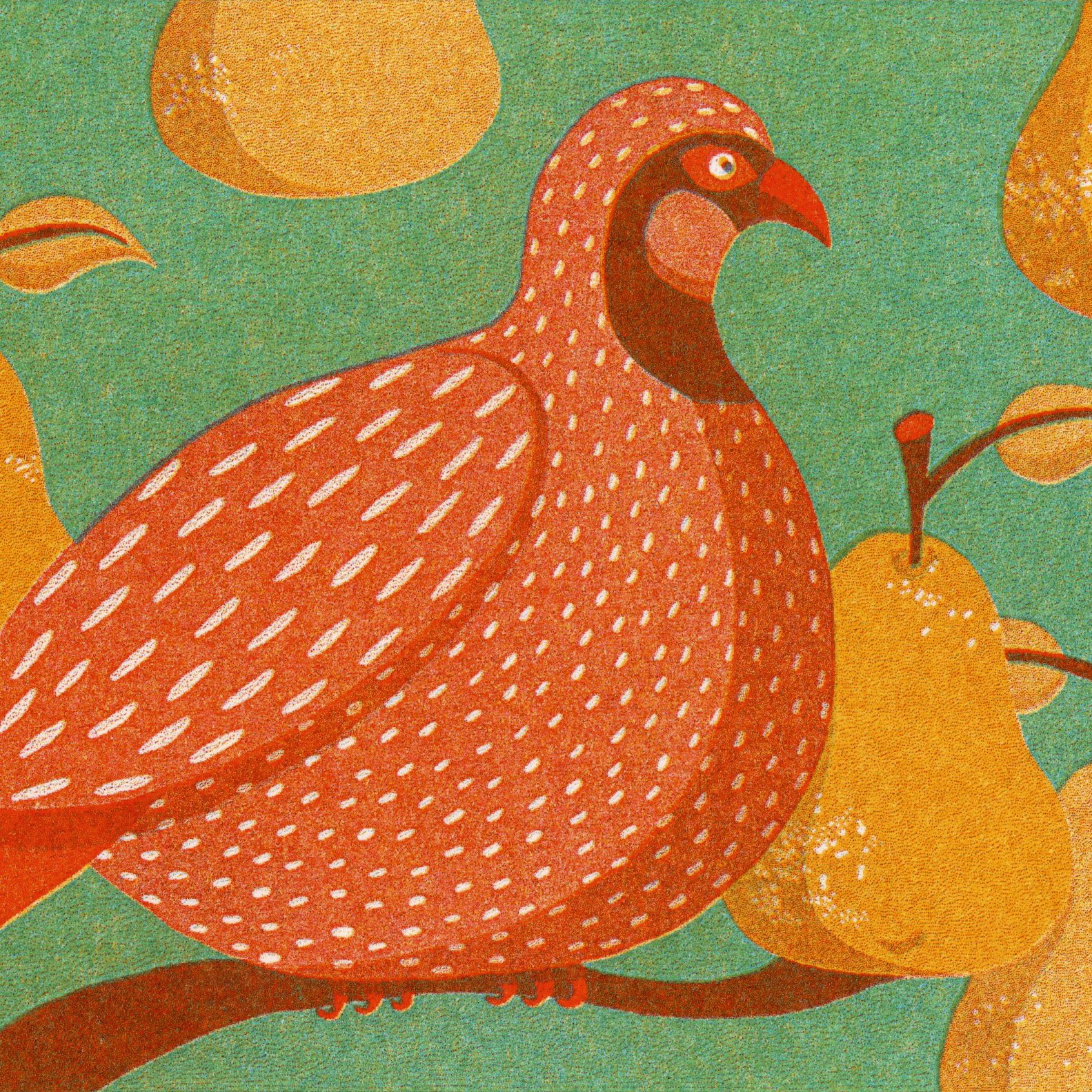 Partridge in a Pear Tree