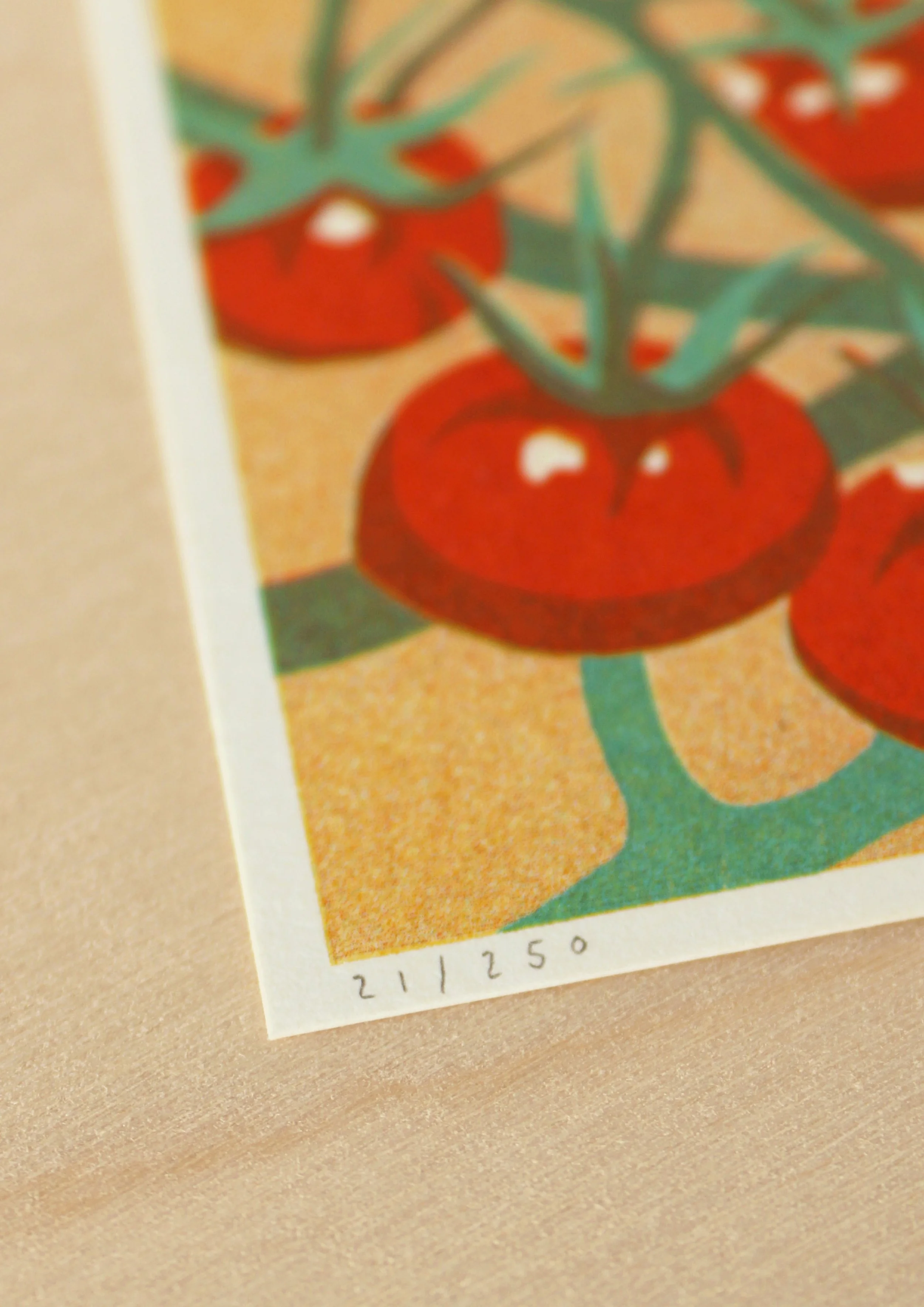 Tomatoes 3 Final.jpg