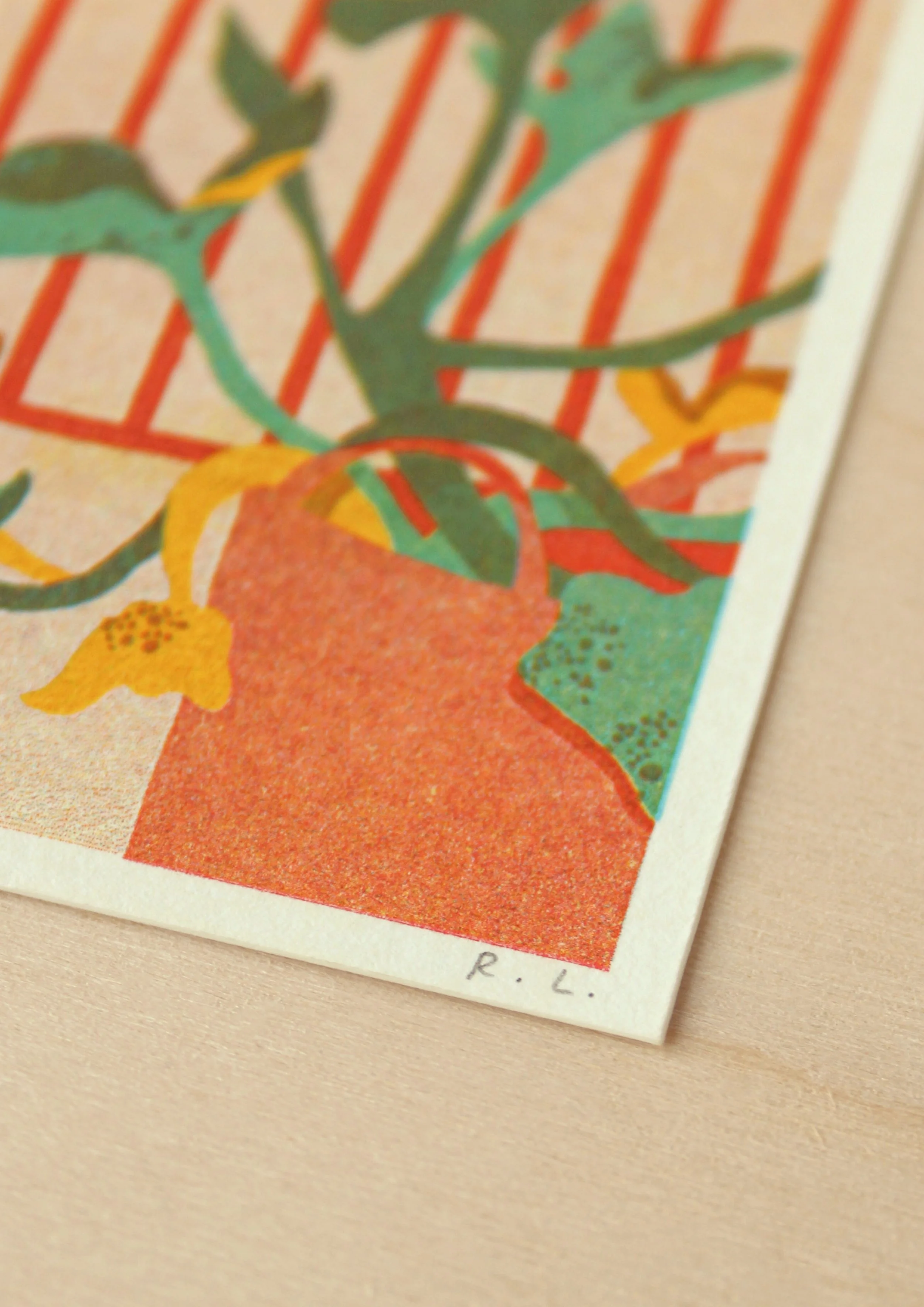 Courgette Plant 2 Final.jpg