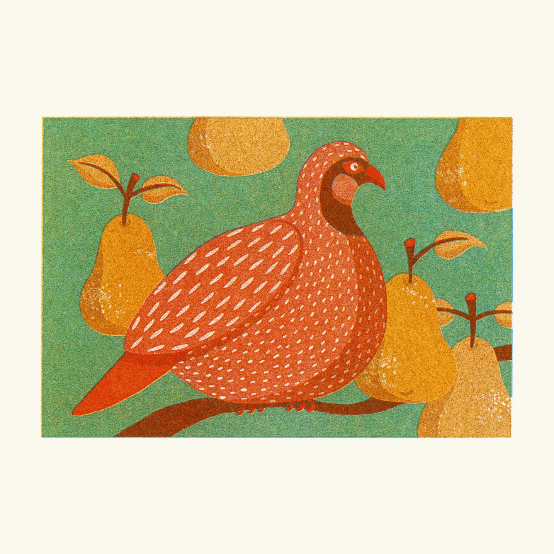 Card Partridge Shop.jpg
