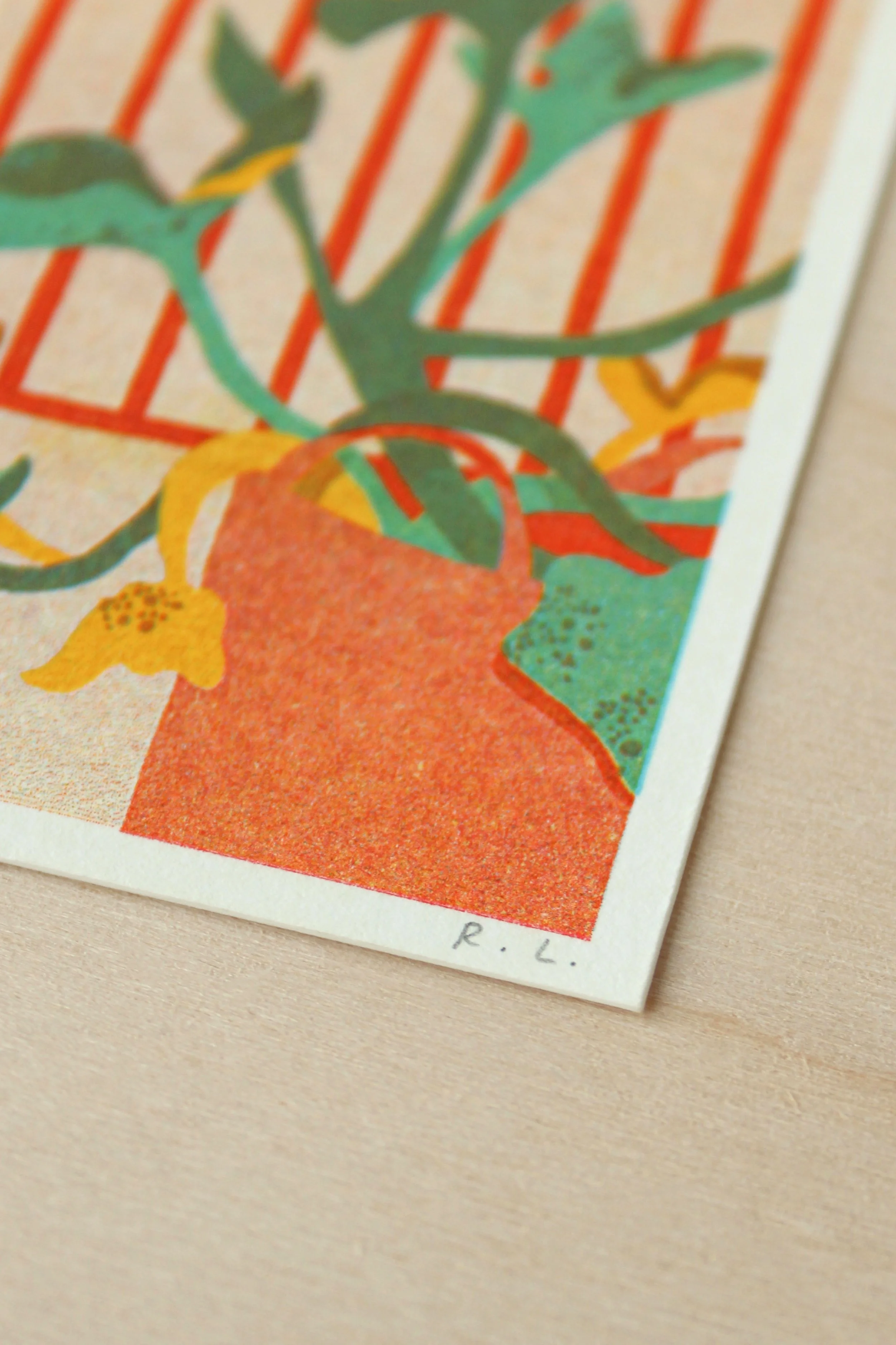 Courgette Plant 3 Background.jpg