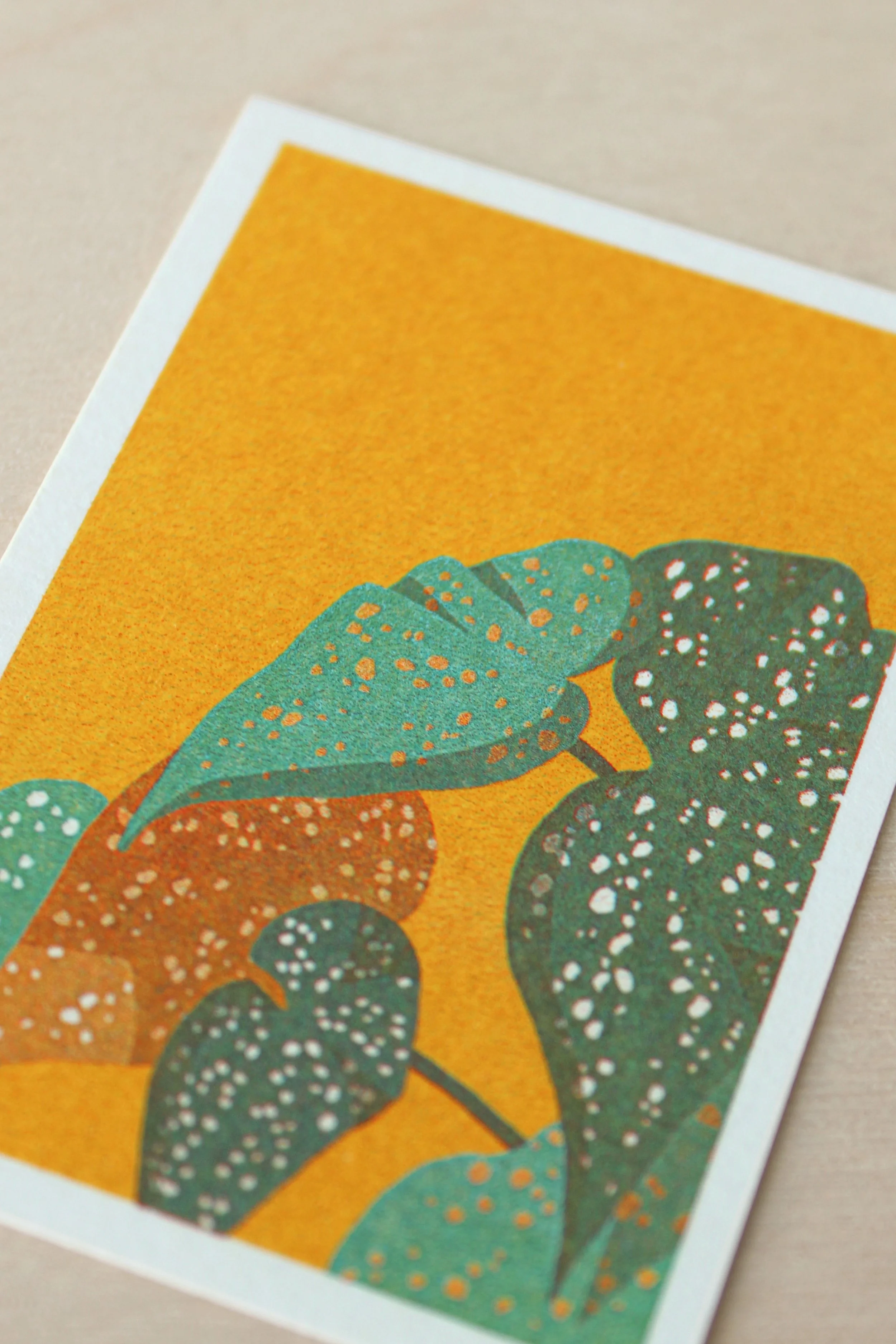 Plant 1 Background.jpg