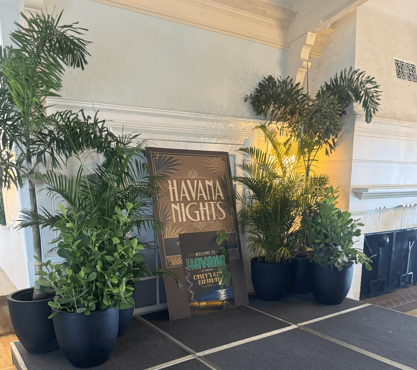 Plant rentals for events in Tampa Bay