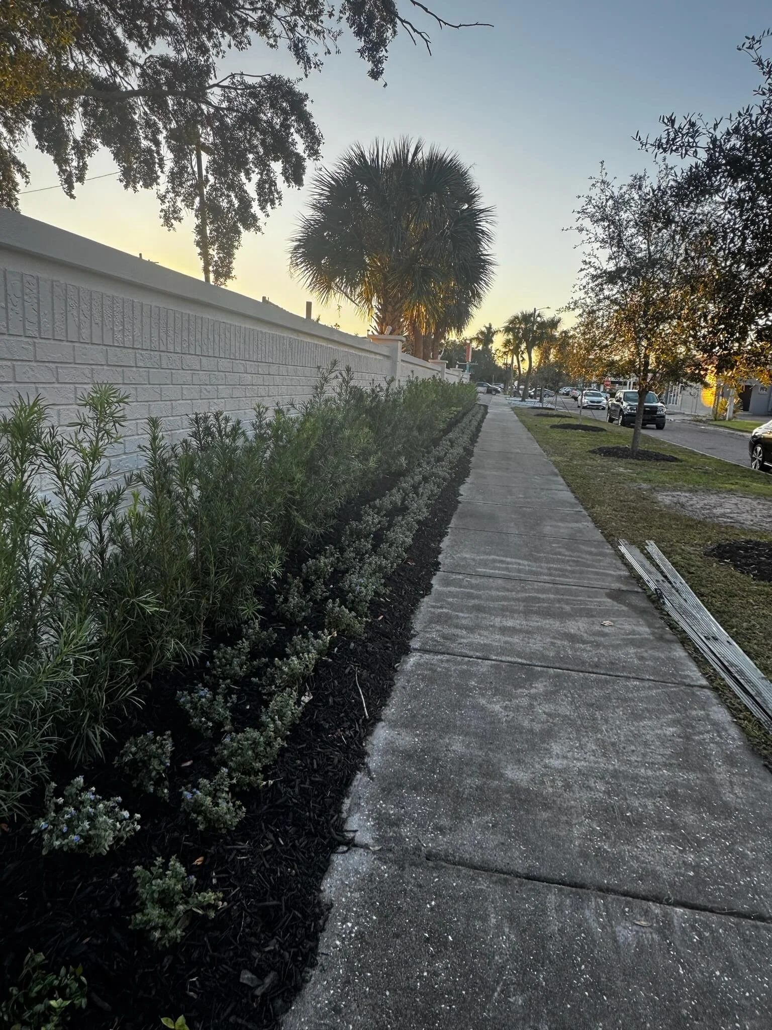 Commercial Landscaping