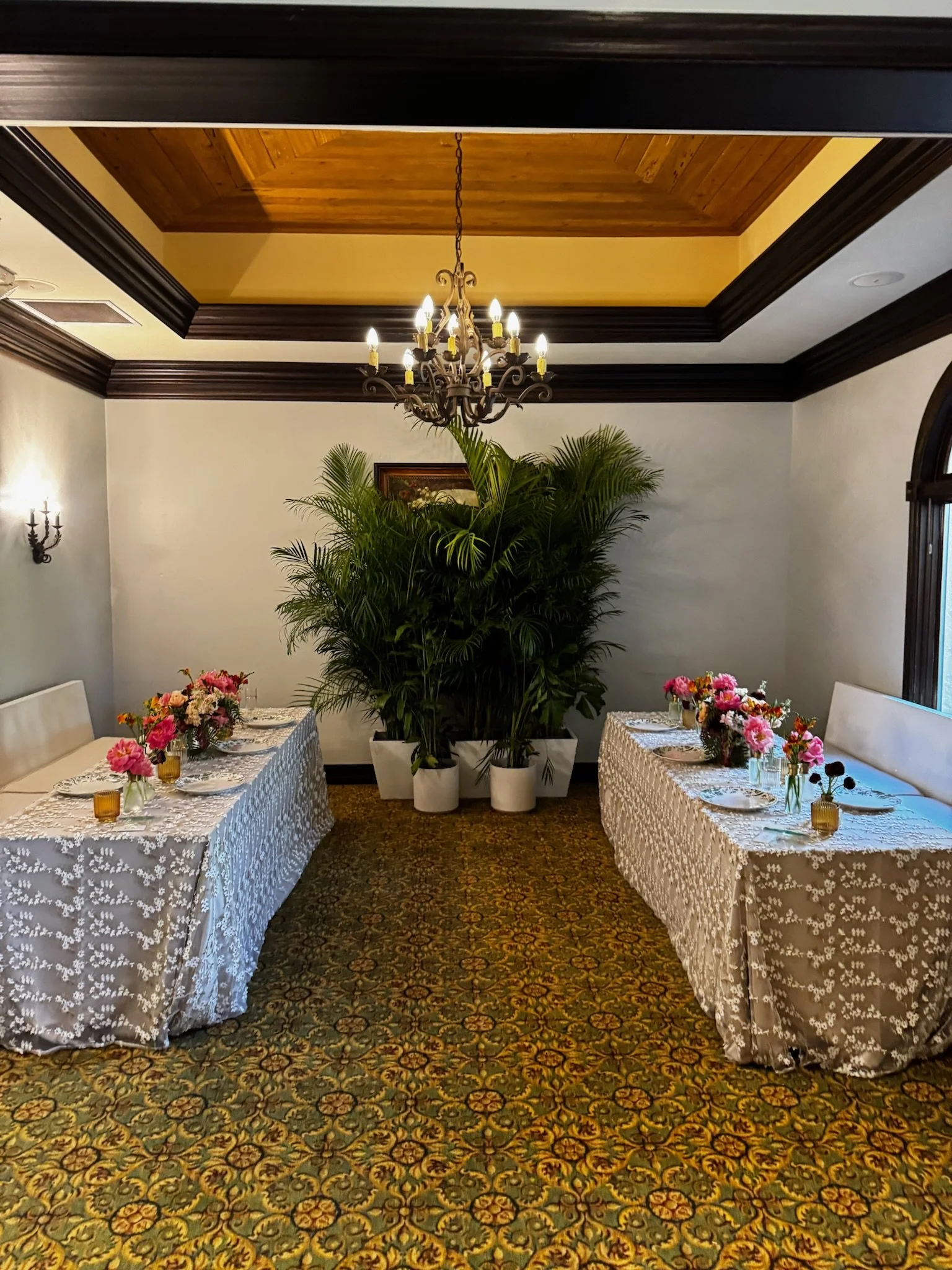 Image of plants provided for an event