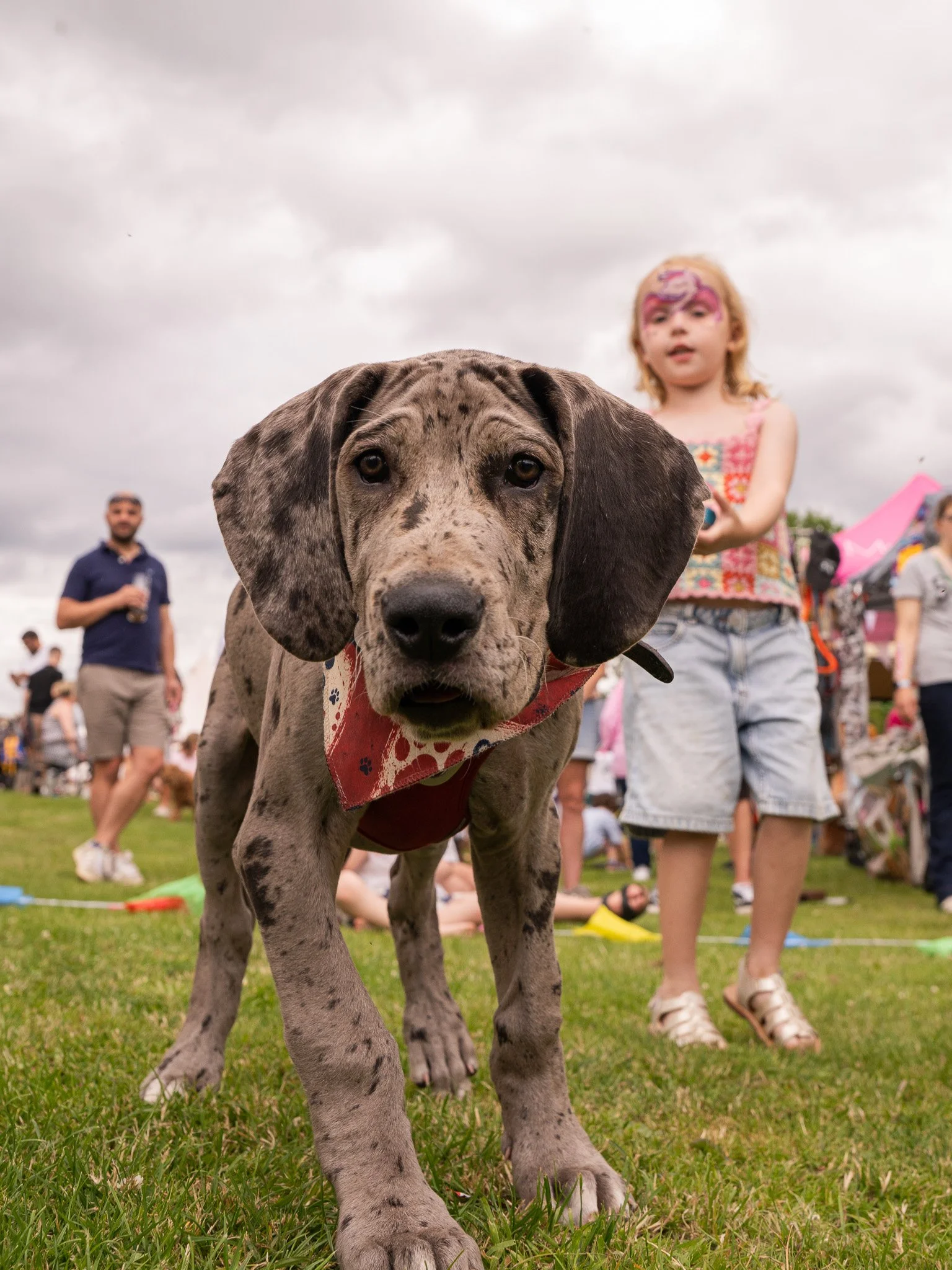 FLEUR_FEST_02398.jpg