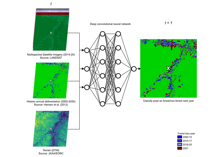 Deforestation forecasting — forestmap.ai: AI powered forest insights ...