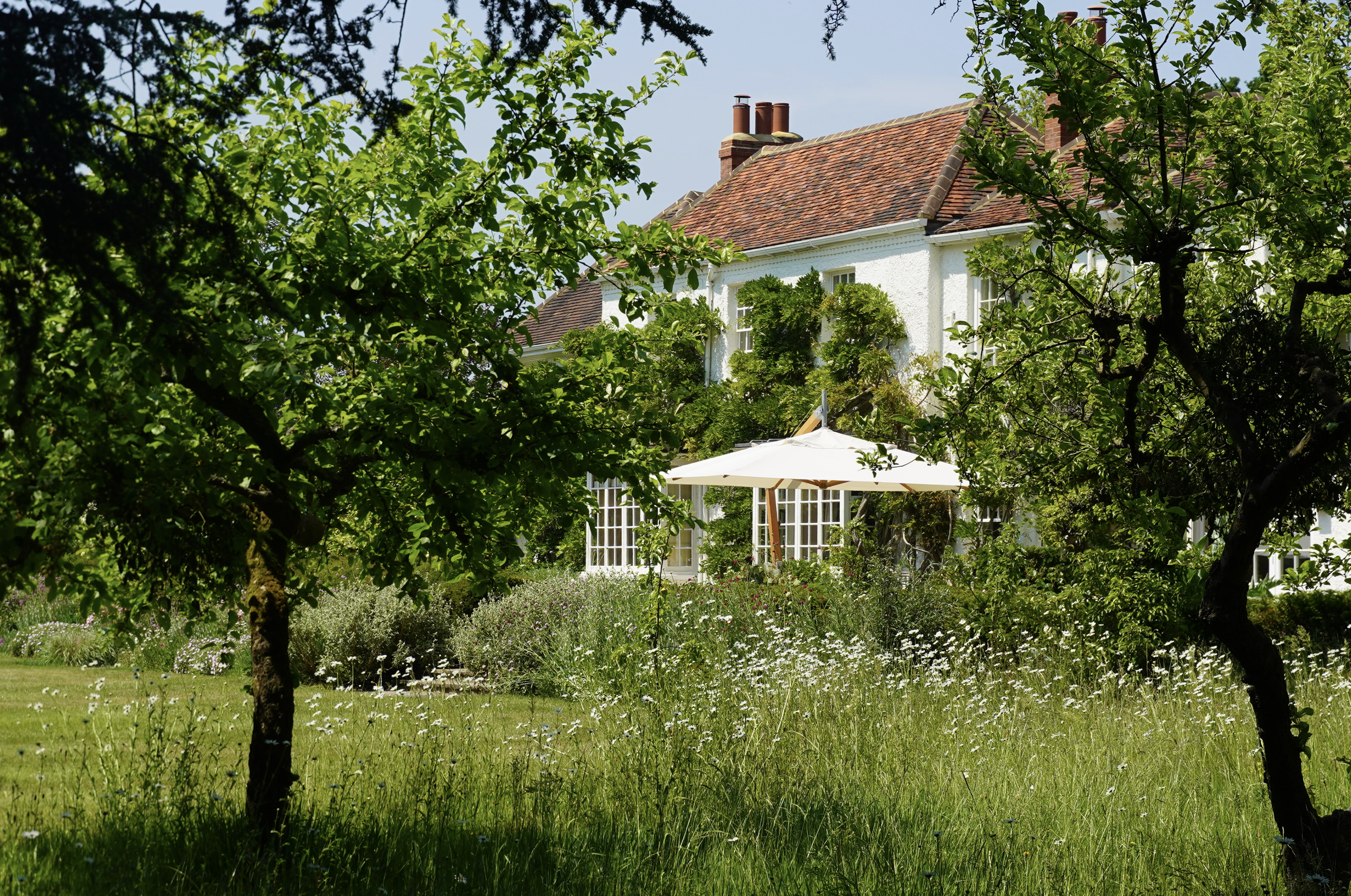 House from Orchard.png