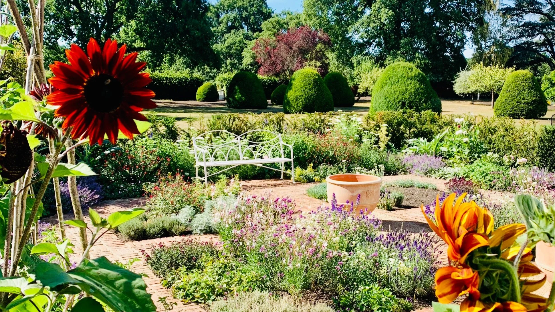 Early+Summer+Herb+Garden.jpg