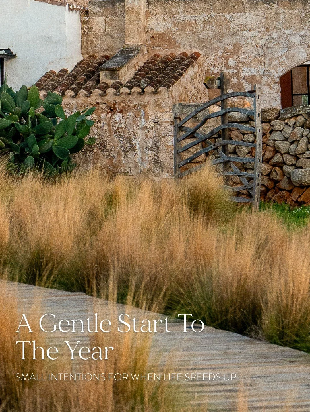 There can be so much pressure to begin &ldquo;the right way&rdquo;. Often it&rsquo;s the smallest shifts that change how life feels.

This is a gentle invitation to begin with less urgency and more awareness. Protecting one slow moment, one honest ch