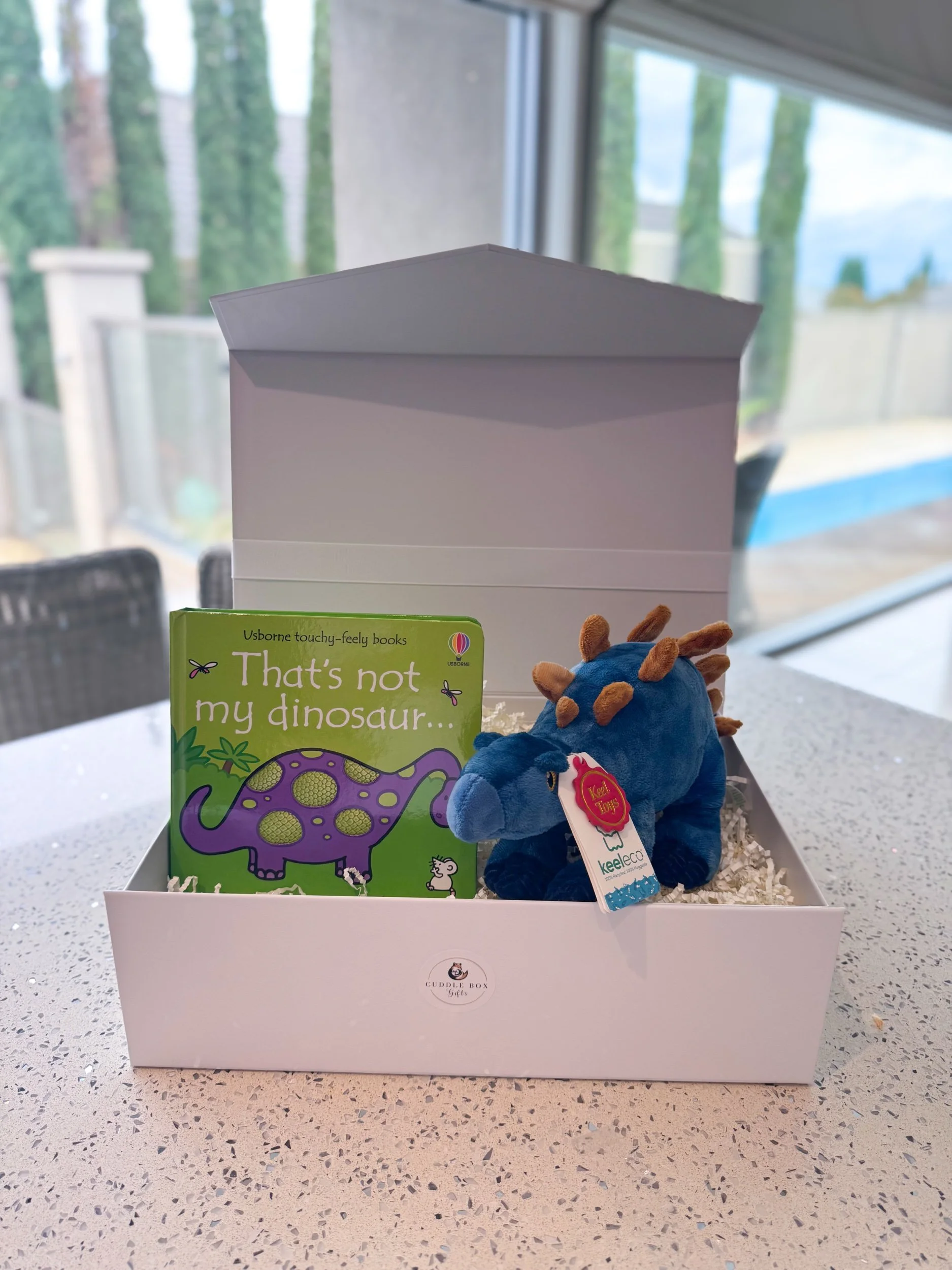 Stegosaurus Dinosaur Gift Box