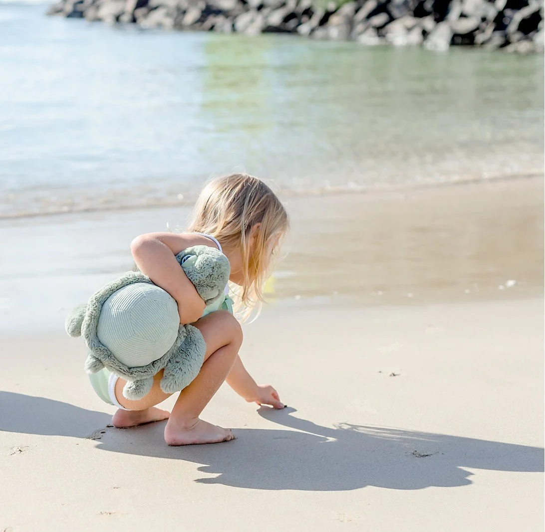 turtle lifestyle 2.jpg