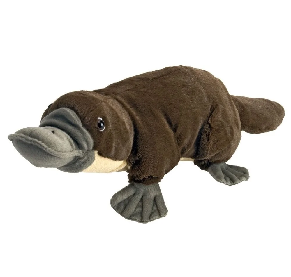 platypus.jpg
