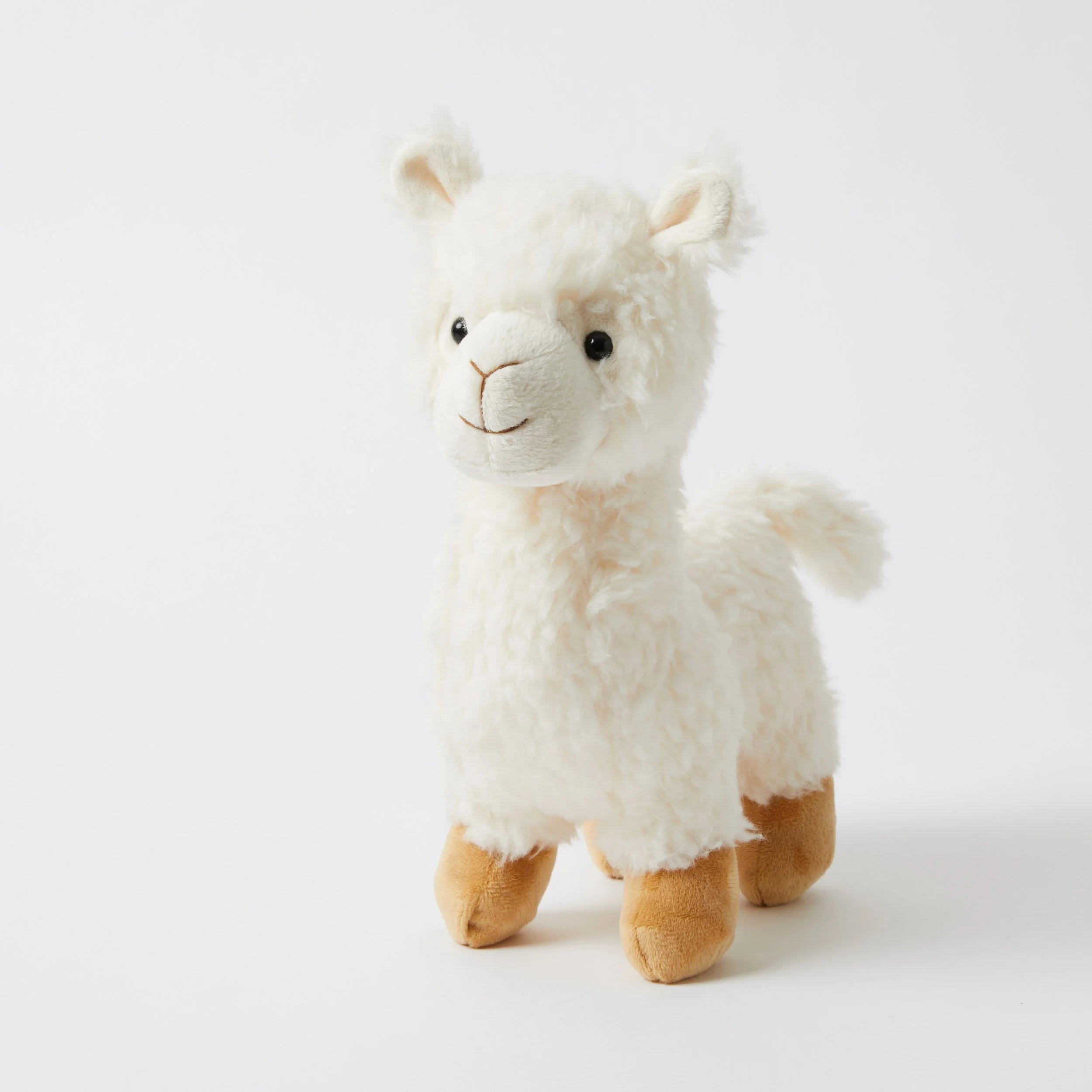 lama front on.jpg