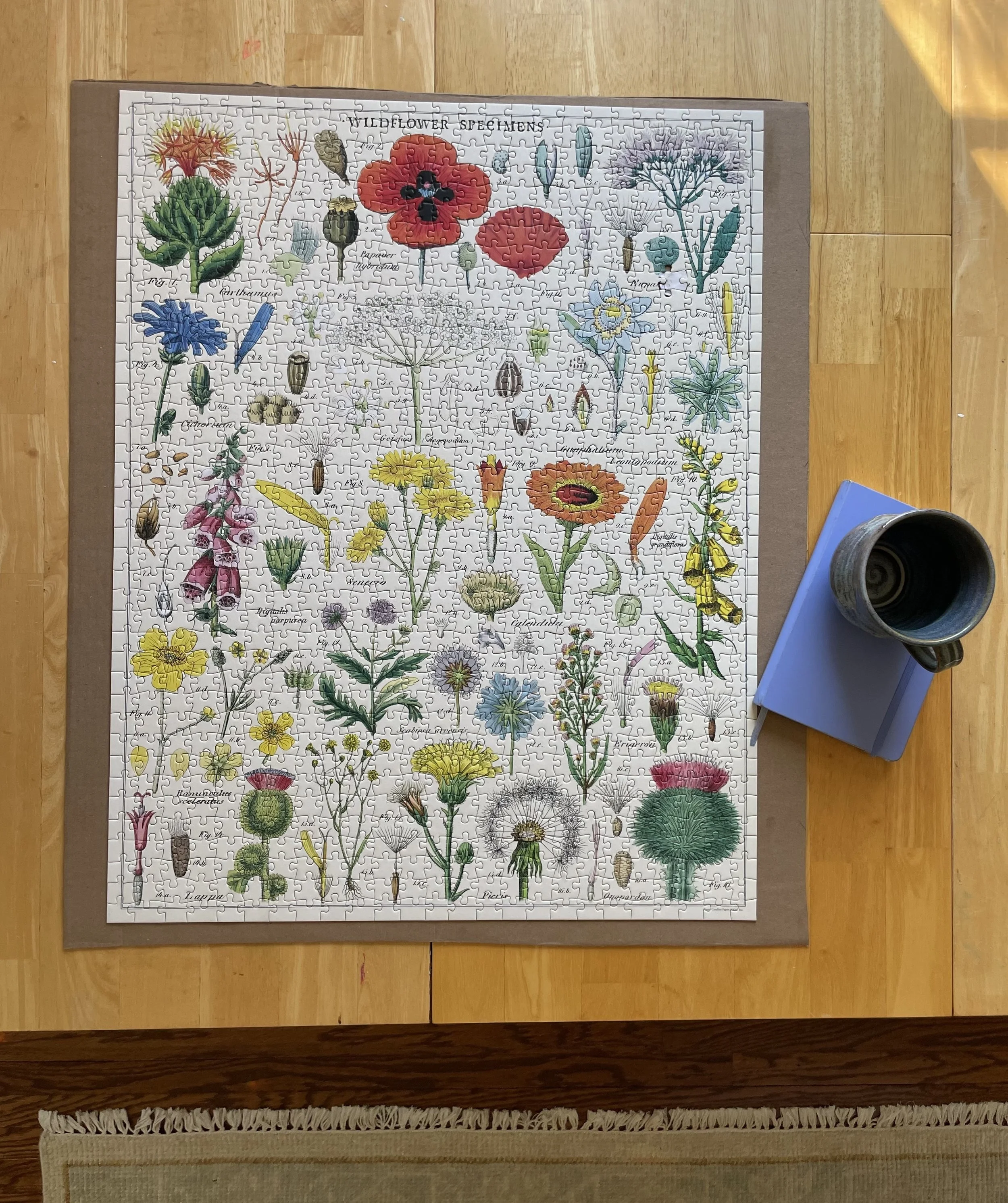 Lowering the Bar, Embracing Ease