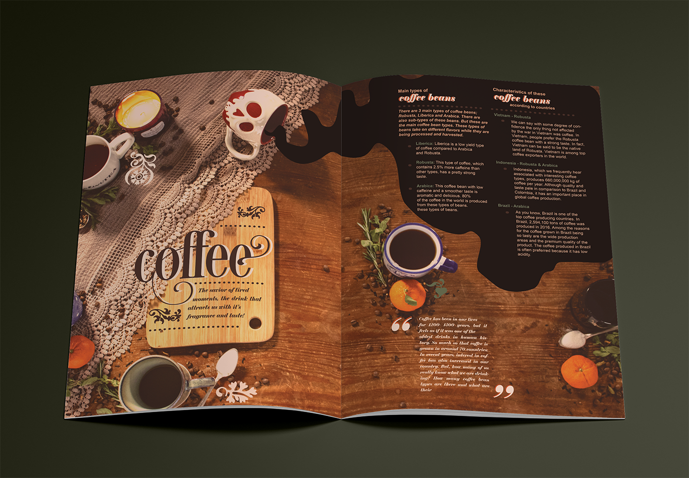 Mockup_A4_Brochure_4.png