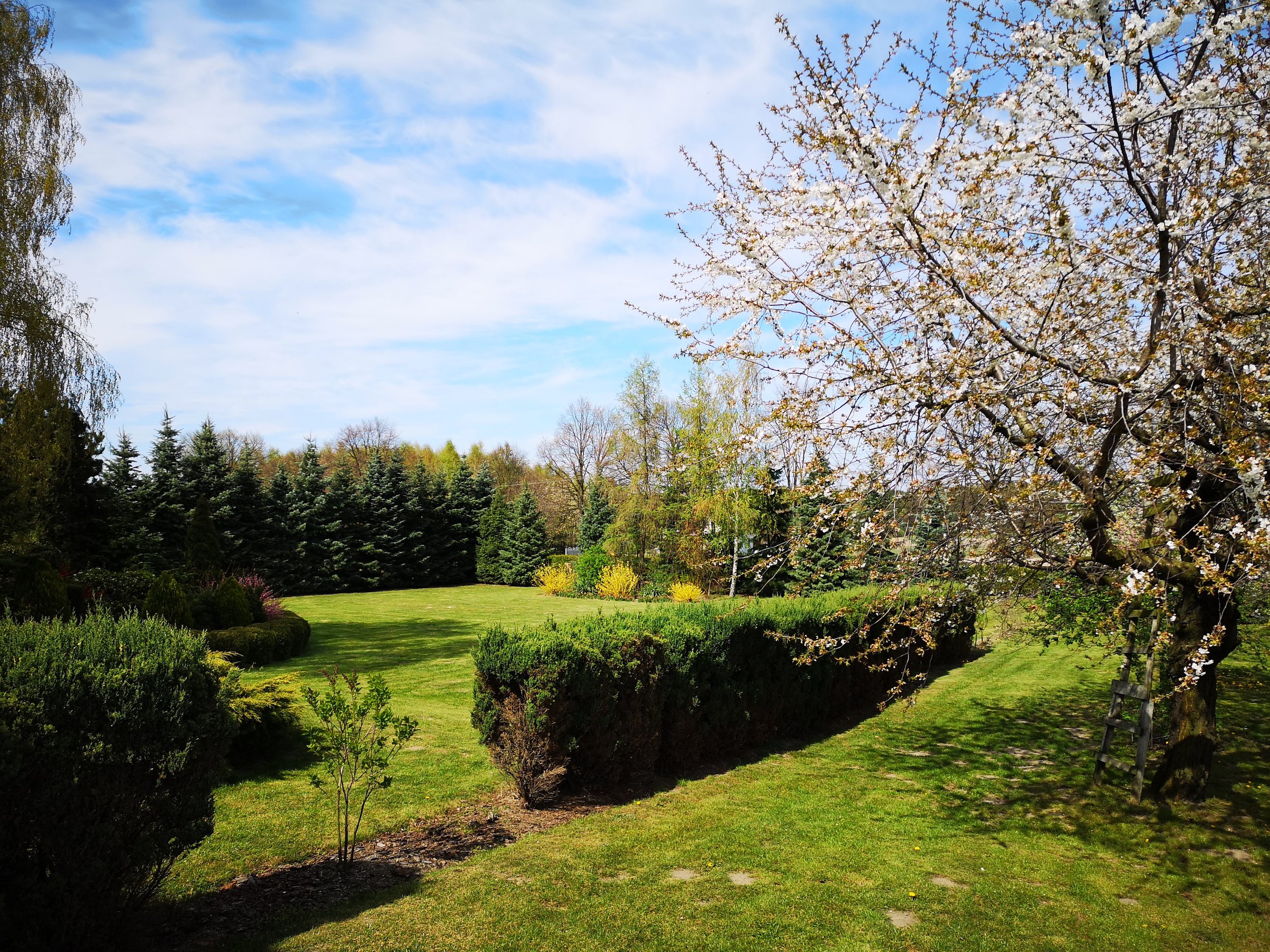 Formal Landscape
Peaceful Gardens Caterham and a formal garden design and landscape gardening in Caterham.