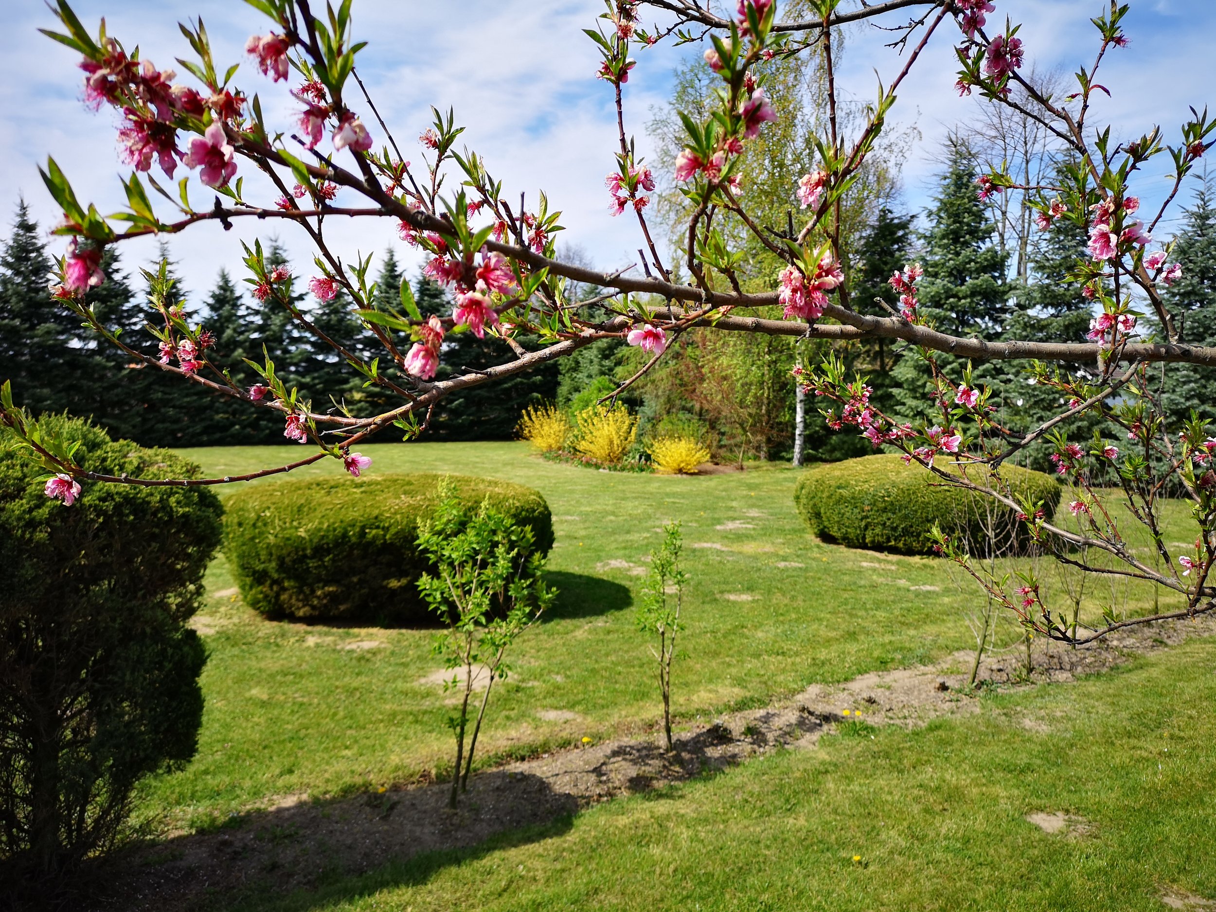 Formal Landscape
Peaceful Gardens Caterham and a formal garden design and landscape gardening in Caterham.