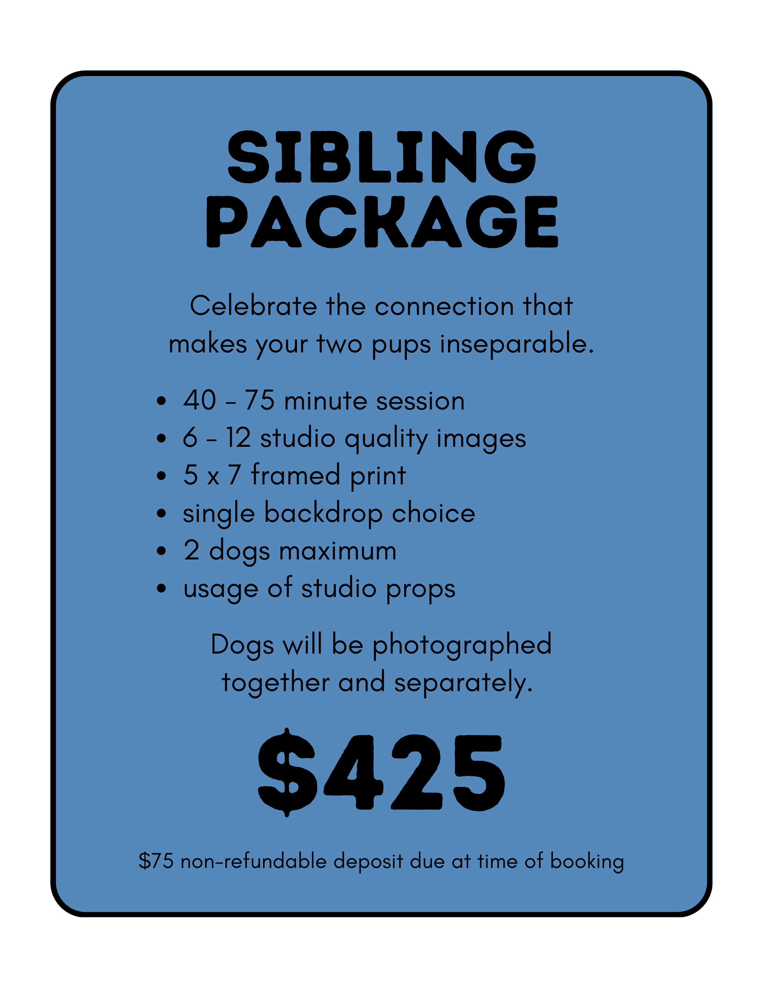 Blue flyer advertising a sibling photography package for dogs, includes details about session duration, number of images, printed size, backdrop, number of dogs, and props, with the price of $425 and a note about a non-refundable deposit.