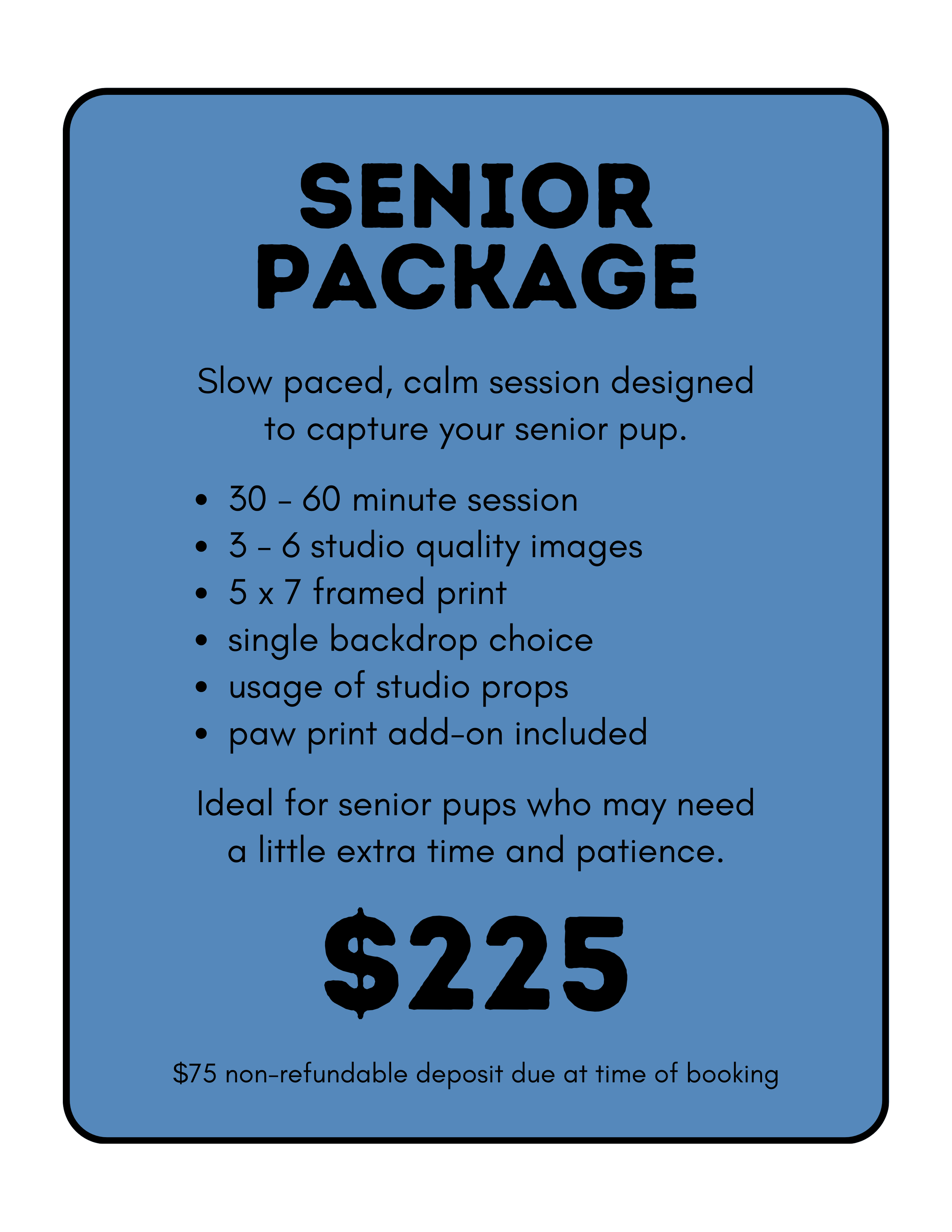 Blue promotional flyer for senior photography package, including session details, pricing, and contact information.